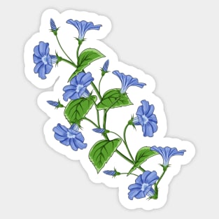 Morning Glory Flowers Sticker